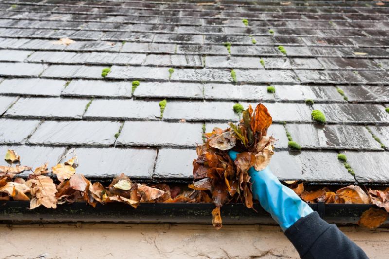 Gutter Cleaning Mount Pleasant